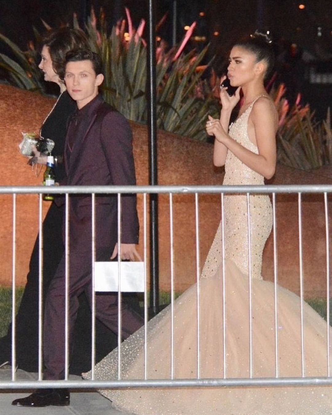 Will Zendaya's Sister Attend Her Wedding To Tom Holland? Will Zendaya's Sister Attend Her Wedding To Tom Holland?
