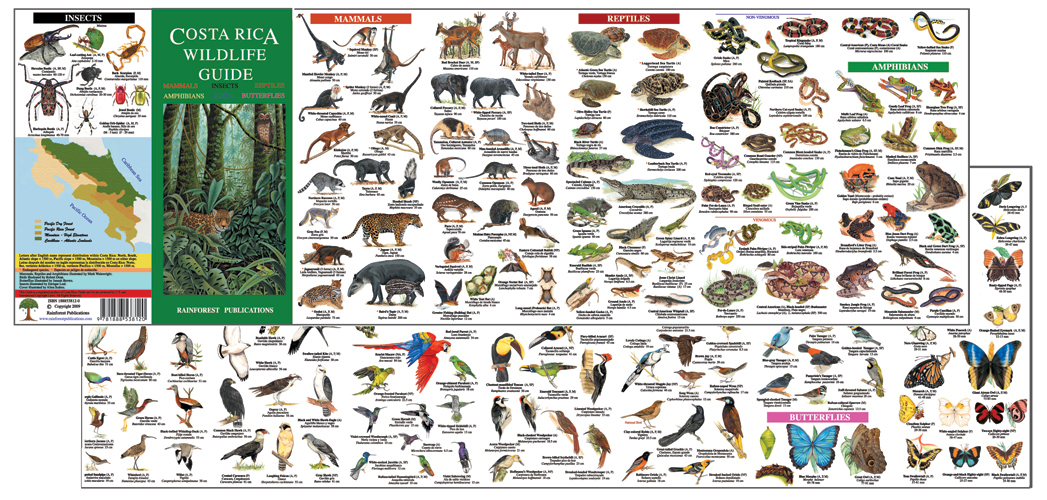 Winterwatch Wildlife: Identification Guide And Viewing Locations Winterwatch Wildlife: Identification Guide And Viewing Locations