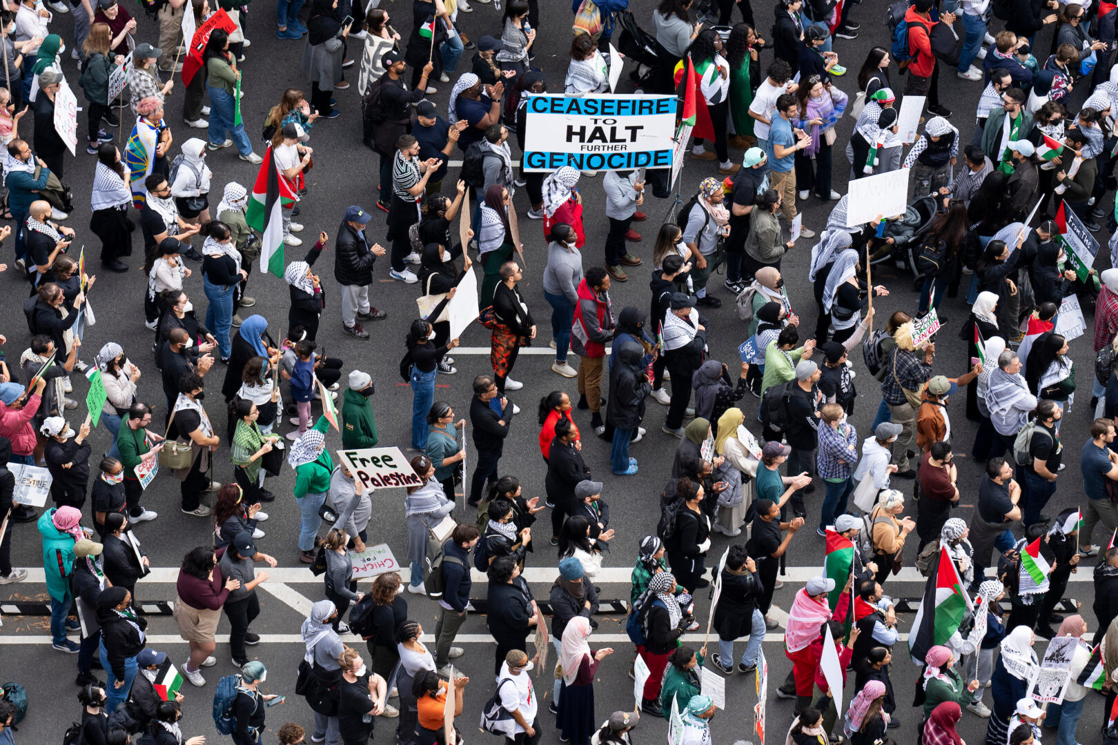 Woman Harassed At Pro-Israel Demonstration: NYPD Investigation Underway Woman Harassed At Pro-Israel Demonstration: NYPD Investigation Underway