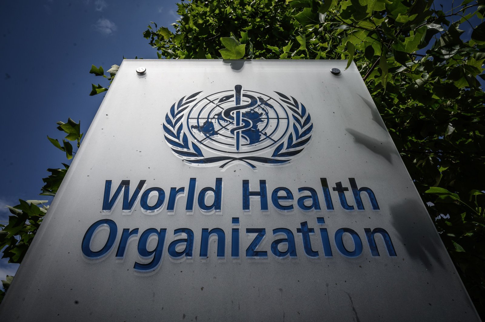 World Health Organization Reports New COVID-19 Variant, Rising Case Numbers World Health Organization Reports New COVID-19 Variant, Rising Case Numbers