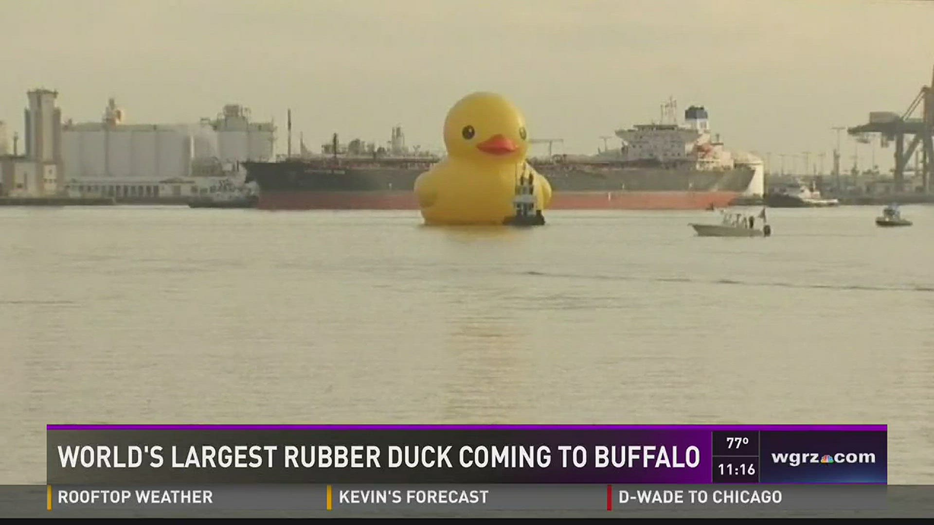 World's Largest Rubber Duck's Myrtle Beach Visit: A Message Of Environmental Awareness World's Largest Rubber Duck's Myrtle Beach Visit: A Message Of Environmental Awareness