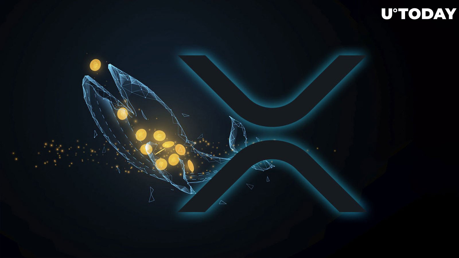 XRP Price Soars 400%: What's Next For The Cryptocurrency? XRP Price Soars 400%: What's Next For The Cryptocurrency?