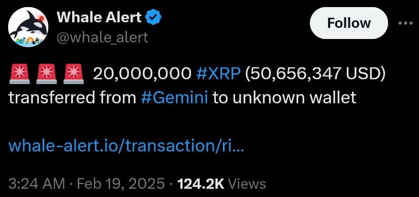 XRP Whale's Massive 20M Token Buy: A Big Bet On Ripple? XRP Whale's Massive 20M Token Buy: A Big Bet On Ripple?